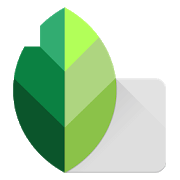 Snapseed APK untuk Edit Foto Profesional di Android